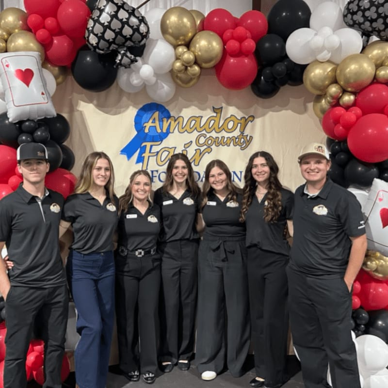 Six young people in matching black shirts stand in front of a banner that reads "Amador County Fair Foundation," framed by a balloon arch with playing card motifs.