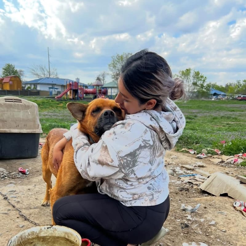 A young woman hugs a brown dog in the foreground, with a rural landscape featuring houses and a playground in the background.