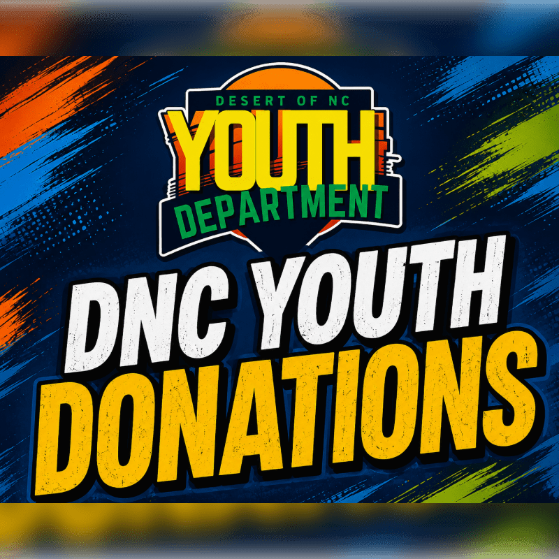 Bold yellow and white text reading "DNC YOUTH DONATIONS" dominates the foreground, set against a dark blue background with vibrant, abstract streaks of orange, green, and blue.