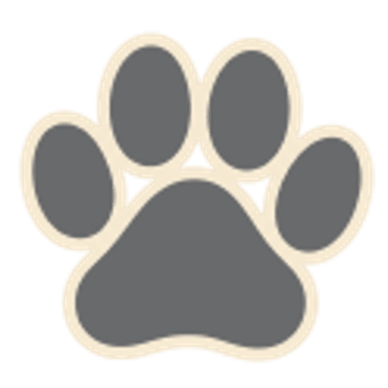 A gray paw print with a cream outline stands out against a white background.