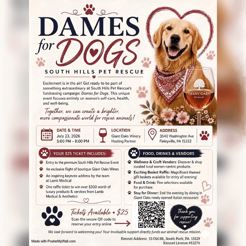 A golden retriever wearing a bandana is featured prominently in the foreground, with event details for "Dames for Dogs" and South Hills Pet Rescue filling the background.