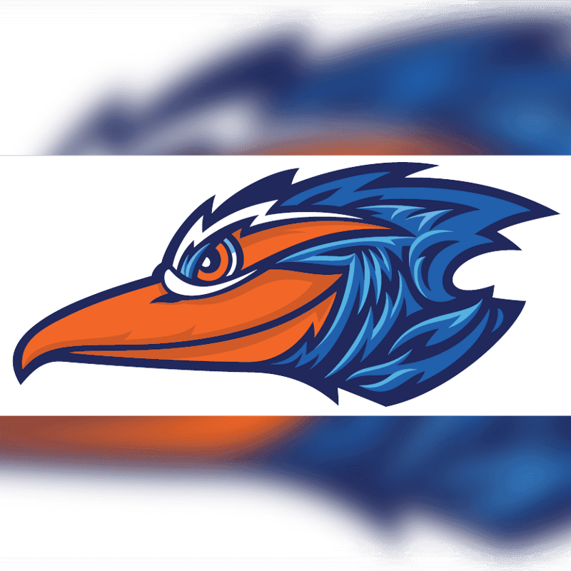 A stylized roadrunner head with an orange beak and blue and white feathers is set against a blurred white and blue background.