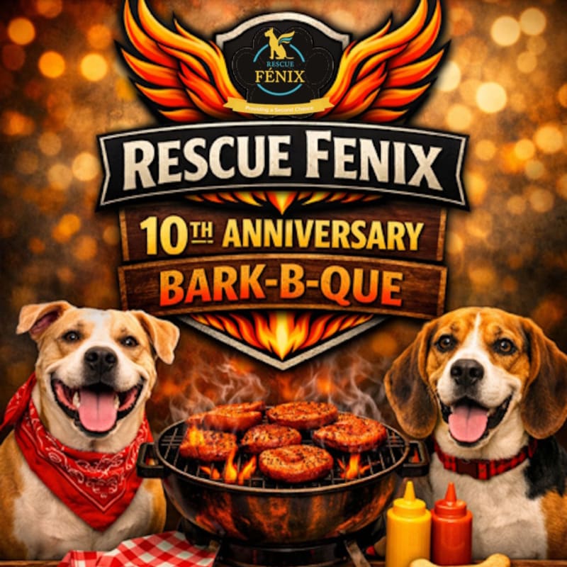 Two happy dogs, one wearing a red bandana, flank a grill with sizzling burgers in the foreground, while a "Rescue Fenix 10th Anniversary Bark-B-Que" banner with fiery wings and bokeh lights adorns the background.