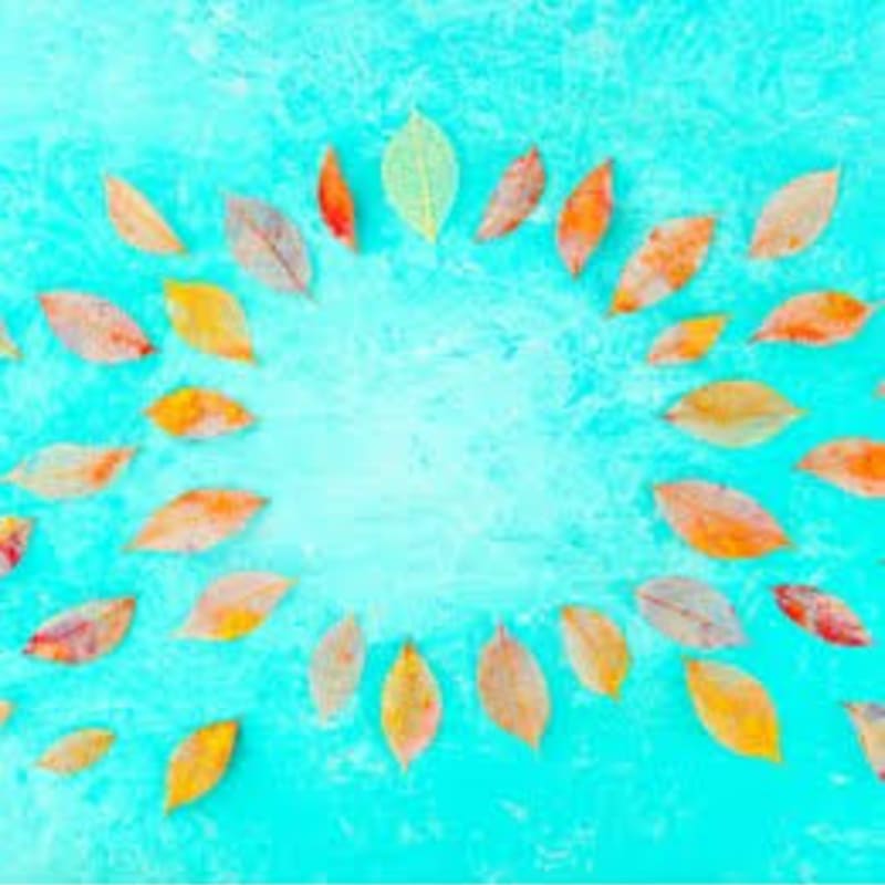 Autumn leaves in shades of red, orange, and yellow are arranged in a circular pattern on a bright turquoise background.