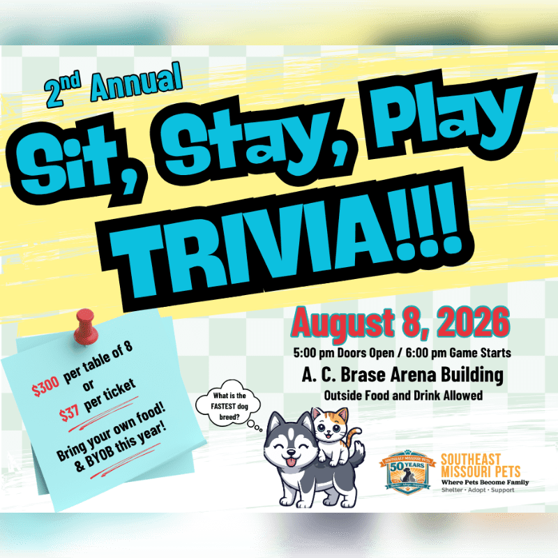A bright yellow and blue flyer advertises the 2nd Annual Sit, Stay, Play Trivia event on August 8, 2026, featuring a cartoon husky and kitten in the foreground against a blurred background.