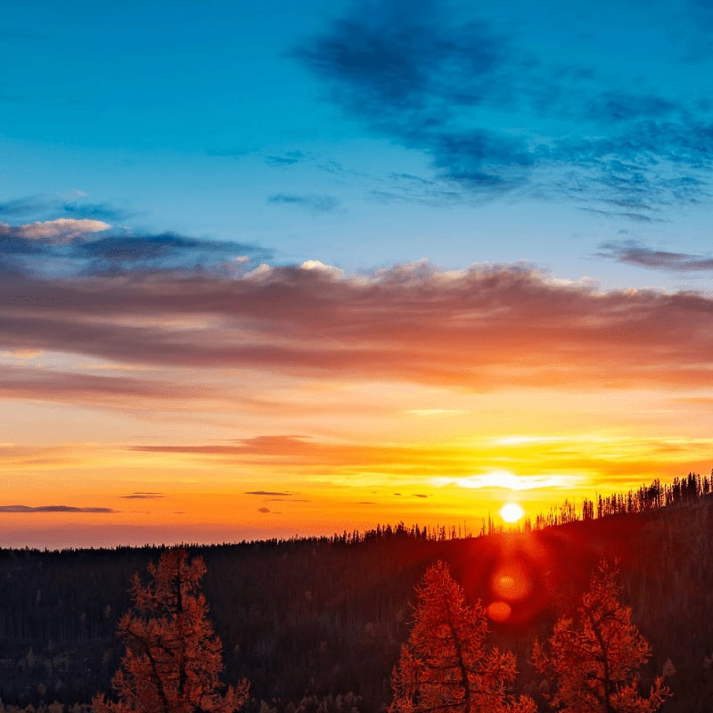 A vibrant sunset paints the sky with fiery oranges and blues above a dark, tree-covered hillside in the background, with the warm glow of the setting sun illuminating the tops of reddish-brown trees in the foreground.