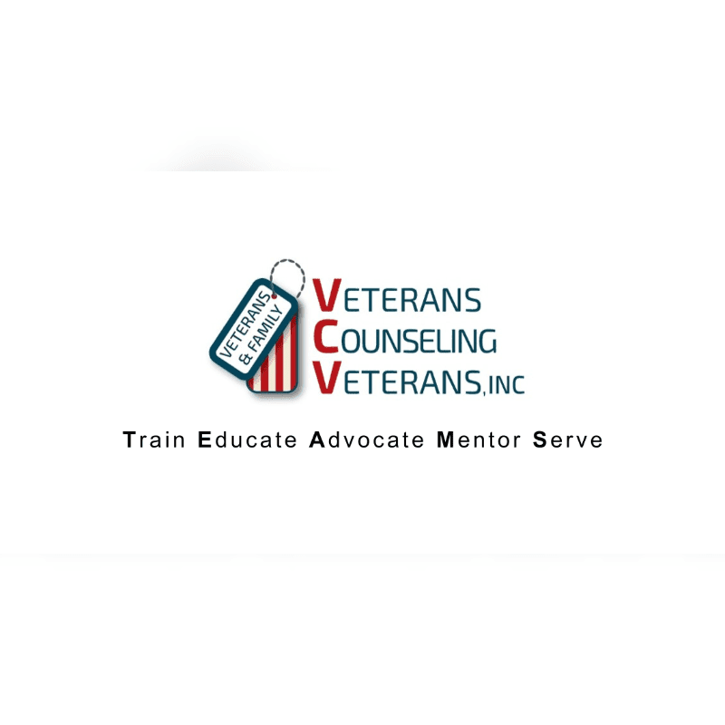 A logo with a dog tag and the words "VETERANS COUNSELING VETERANS, INC" is in the foreground, with the tagline "Train Educate Advocate Mentor Serve" below it, all set against a white background.