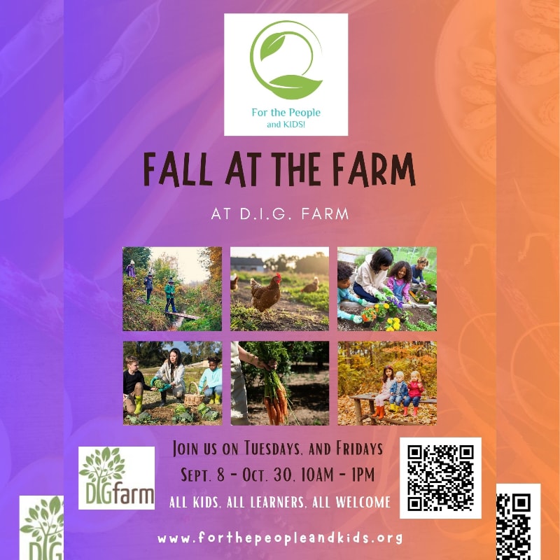 A vibrant purple and orange gradient background frames a collage of six photos showcasing farm activities, with text announcing "Fall at the Farm" and event details at the bottom.