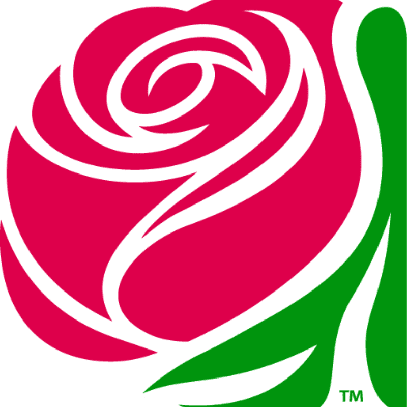 A stylized pink rose with white accents is set against a plain background, with a green stem visible on the right.