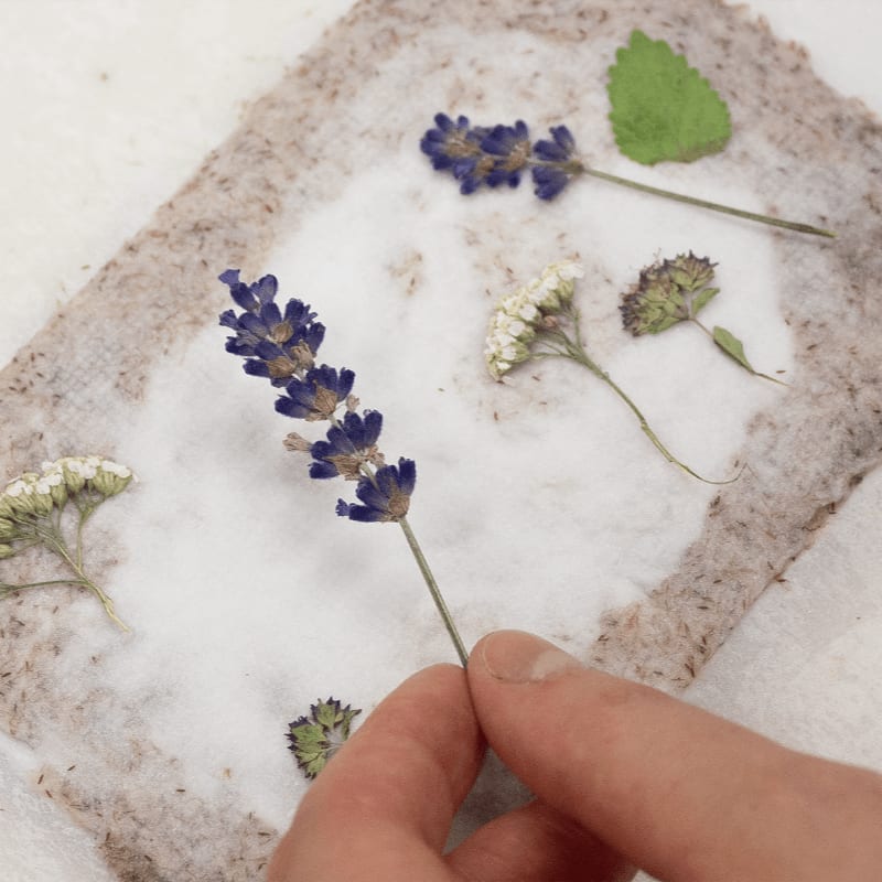 A hand holds a sprig of lavender over a piece of handmade paper with dried flowers and leaves scattered on it.