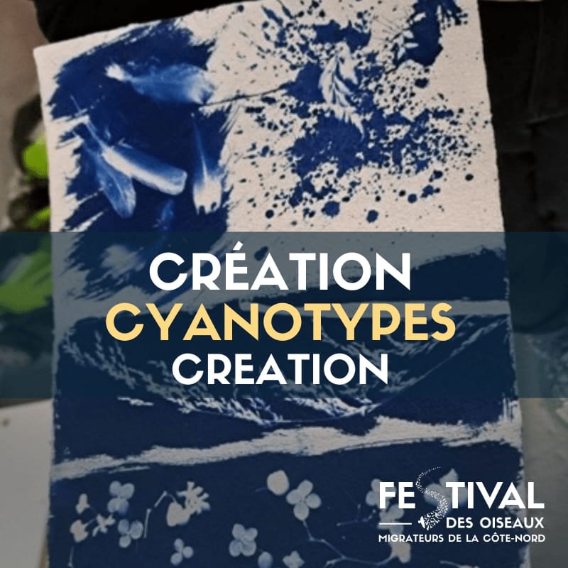 A cyanotype artwork with feathers and floral patterns in the foreground is overlaid with text about "Création Cyanotypes Creation" and a festival logo in the background.