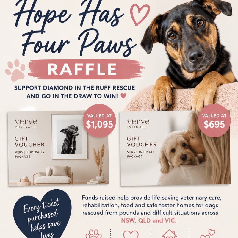 A dog rests its head on a railing in the background, while the foreground displays two gift vouchers for photography sessions.
