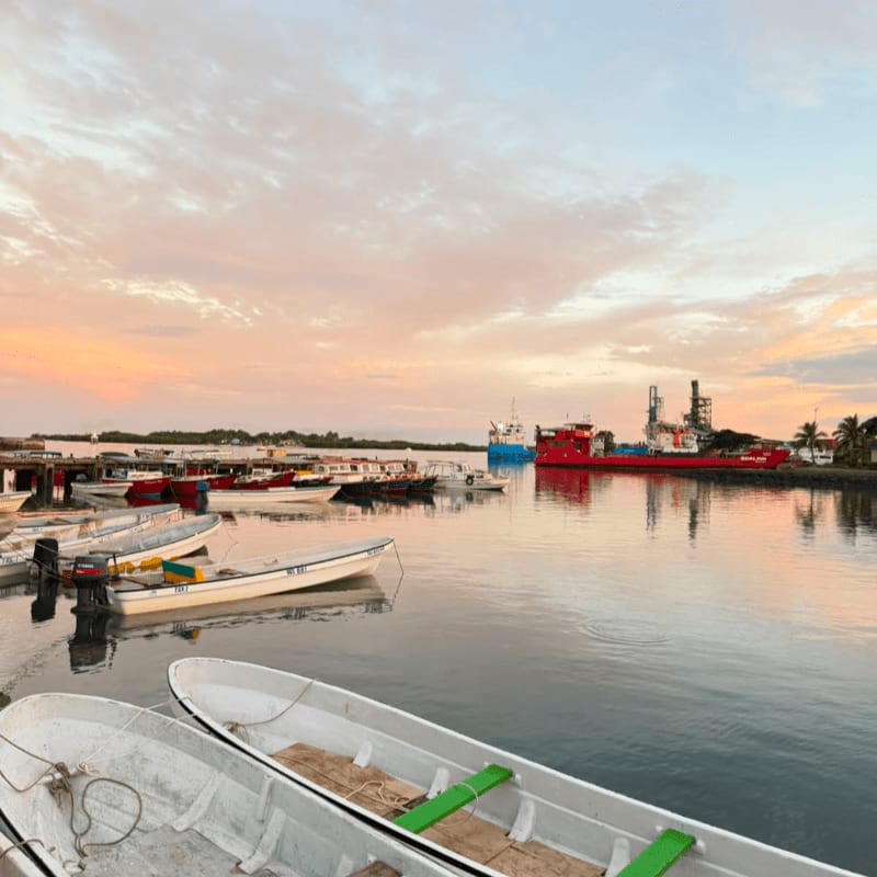 Several small boats are docked in the foreground, with a large red research vessel and a distant shoreline visible in the background under a pastel sky.