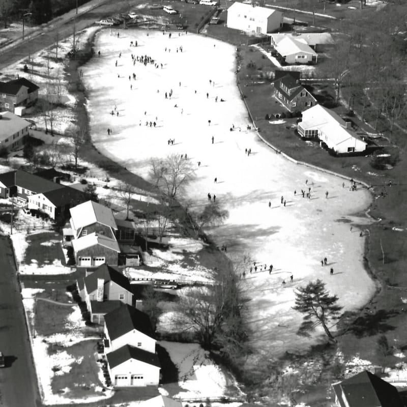 A frozen pond is filled with ice skaters in the foreground, surrounded by snow-covered houses and trees in the background.