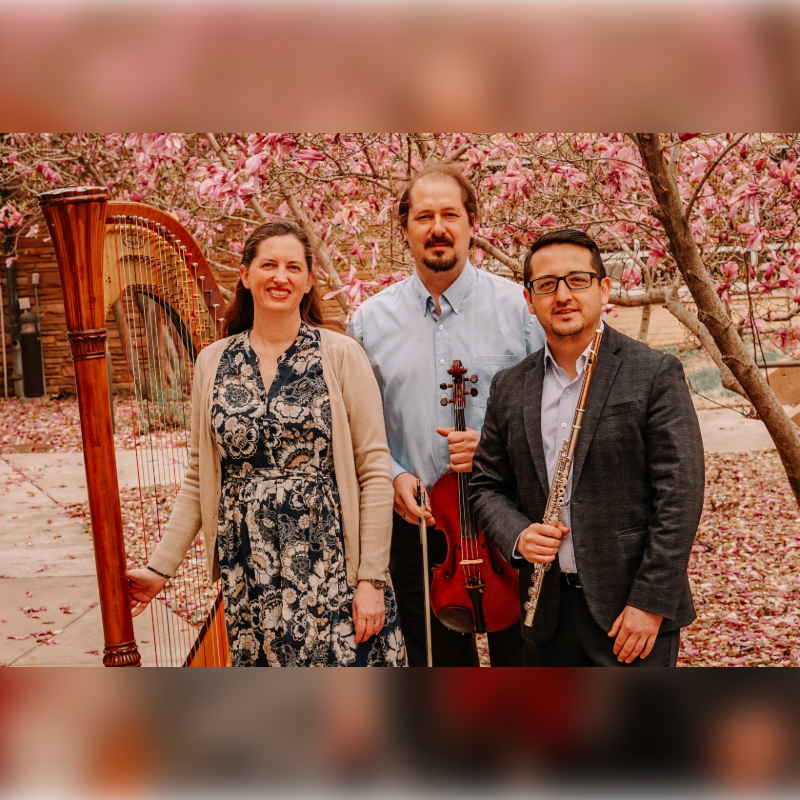 Three musicians, a harpist, a violinist, and a flutist, stand in front of a blooming pink magnolia tree.