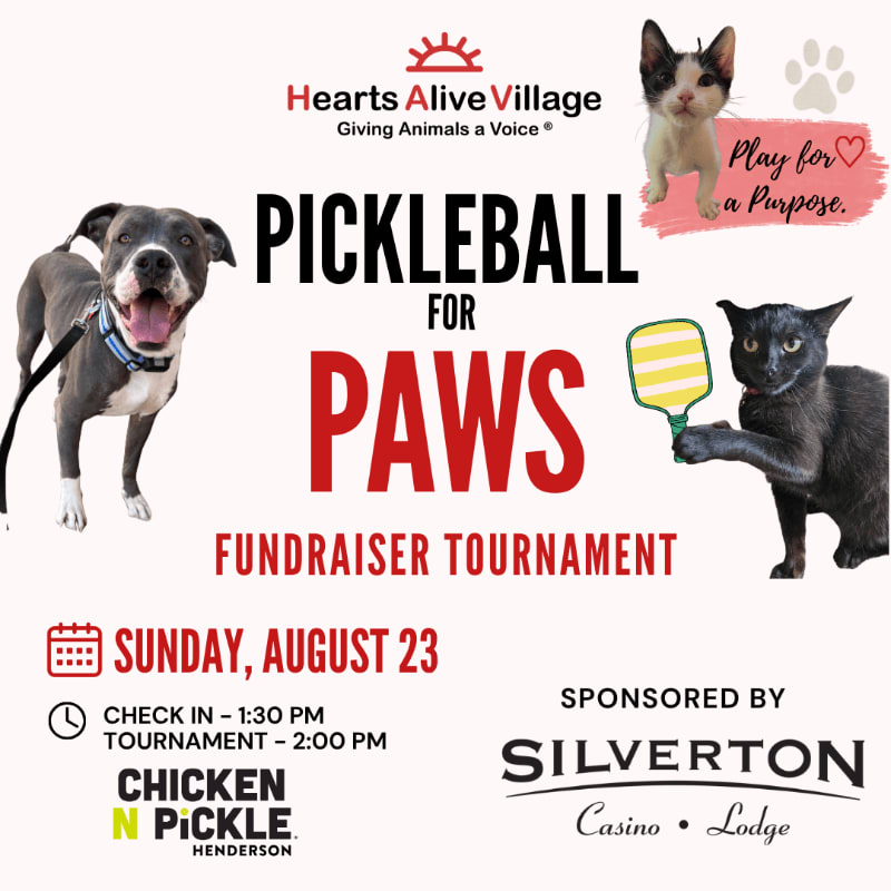 A happy pit bull and a black cat holding a pickleball paddle are in the foreground, with the "Pickleball for Paws Fundraiser Tournament" event details and sponsor logos in the background.