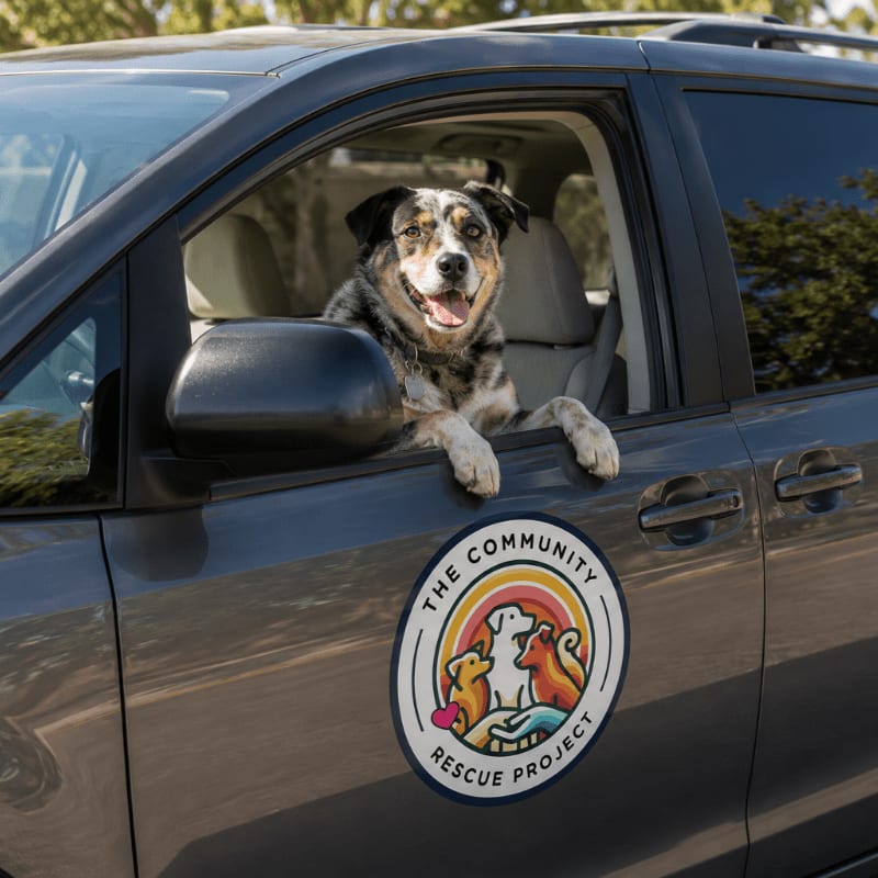 A happy dog with its paws on the car door looks out from the driver's seat, with a "Community Rescue Project" logo on the car and blurred trees in the background.
