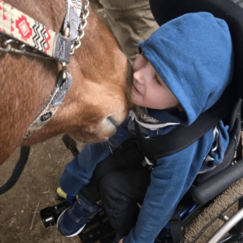 A young boy in a wheelchair wearing a blue hoodie gently nuzzles a pony with a decorative bridle in the foreground, while a blurred person is visible in the background.