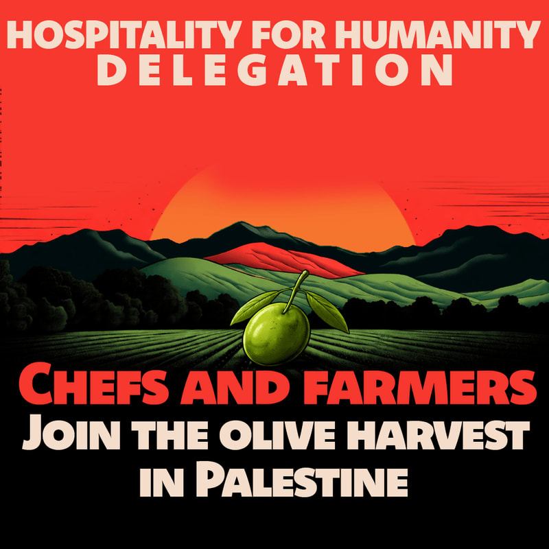 A large green olive rests in the foreground of a stylized landscape with rolling hills and a setting sun, beneath bold text announcing "HOSPITALITY FOR HUMANITY DELEGATION" and "CHEFS AND FARMERS JOIN THE OLIVE HARVEST IN PALESTINE."