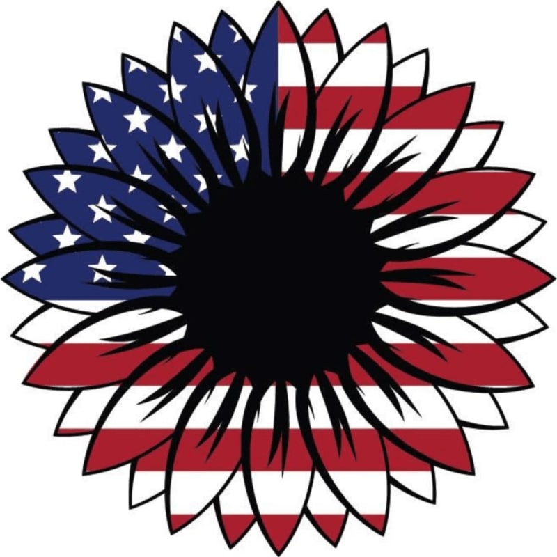 A sunflower with petals designed like the American flag stands against a plain white background.