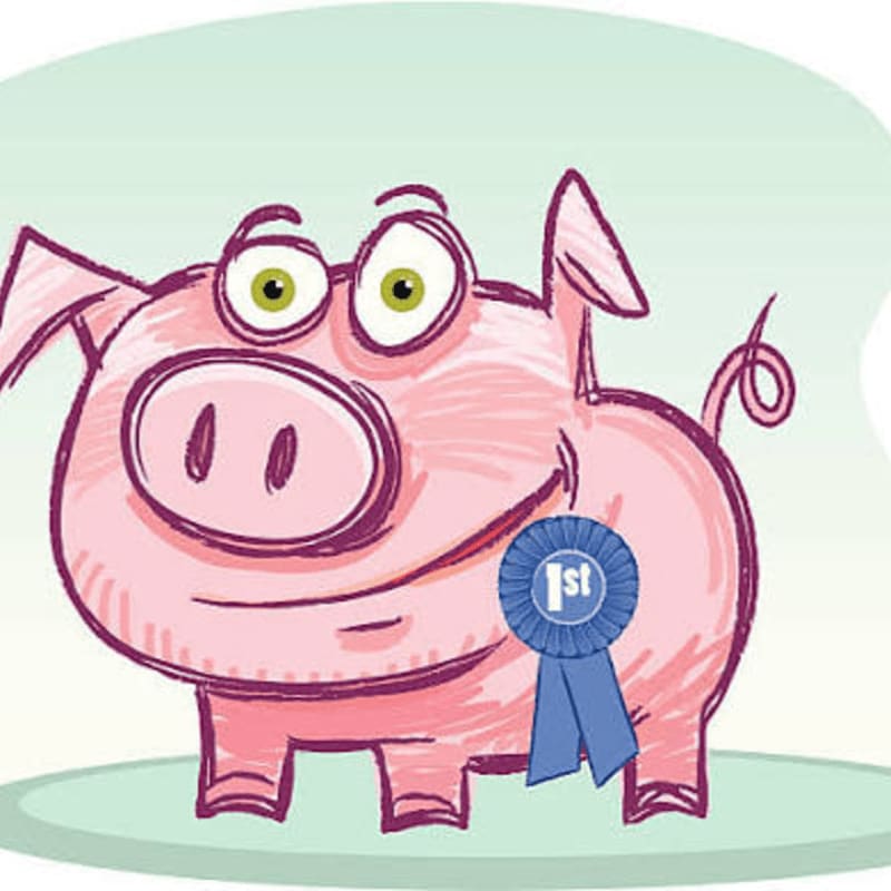 A cheerful pink pig with a blue "1st" ribbon stands on a light green surface against a pale green background.