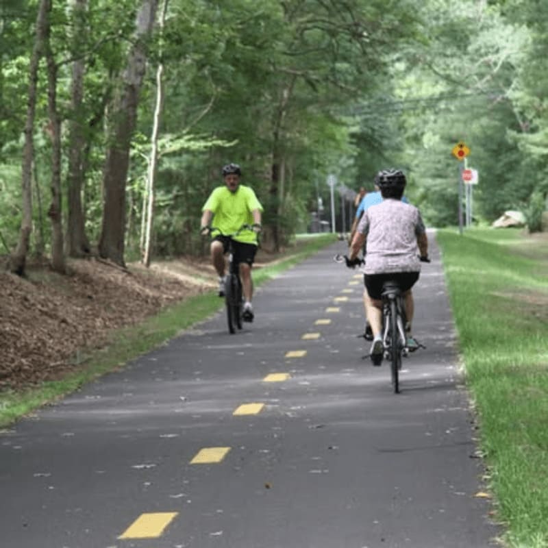 Two cyclists ride on a paved path lined with trees, with a yellow dashed line marking the lane and a road sign visible in the distance.