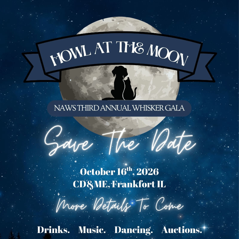 A silhouetted dog and cat sit before a large moon on a starry night, advertising the "Howl at the Moon" NAWS Third Annual Whisker Gala.