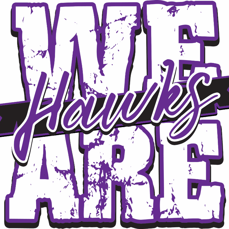 Large, distressed purple and white letters spell out "WE ARE" in the foreground, with "Hawks" written in a purple script across a black banner in the background.