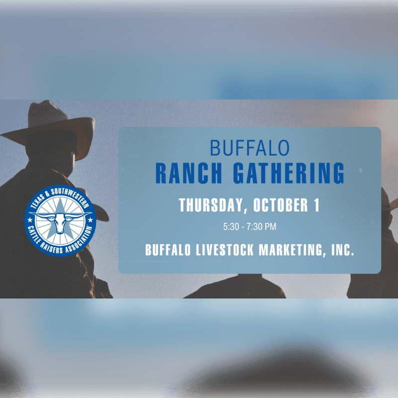 Silhouetted cowboys in the foreground face a blue banner in the background announcing a "Buffalo Ranch Gathering" on Thursday, October 1st.