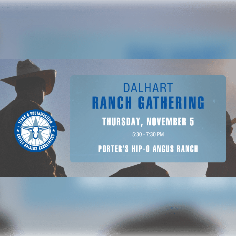 Silhouetted cowboys in the foreground face a hazy sky behind a blue sign announcing the Dalhart Ranch Gathering on Thursday, November 5th, at Porter's Hip-O Angus Ranch.