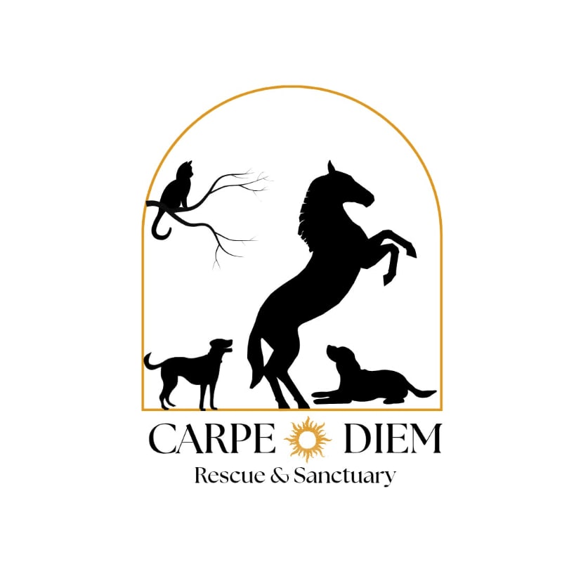 Silhouetted animals, including a cat on a branch, a dog, a horse rearing up, and another dog lying down, are framed by an arch with the text "CARPE DIEM Rescue & Sanctuary" below.