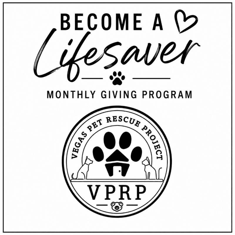A black and white graphic advertises the "Vegas Pet Rescue Project" monthly giving program, featuring a paw print inside a house and two cats in the foreground, with text about becoming a "Lifesaver" in the background.