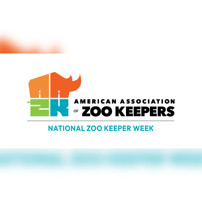 A colorful logo for National Zoo Keeper Week is displayed against a white background with a blurred aquamarine wave at the bottom.