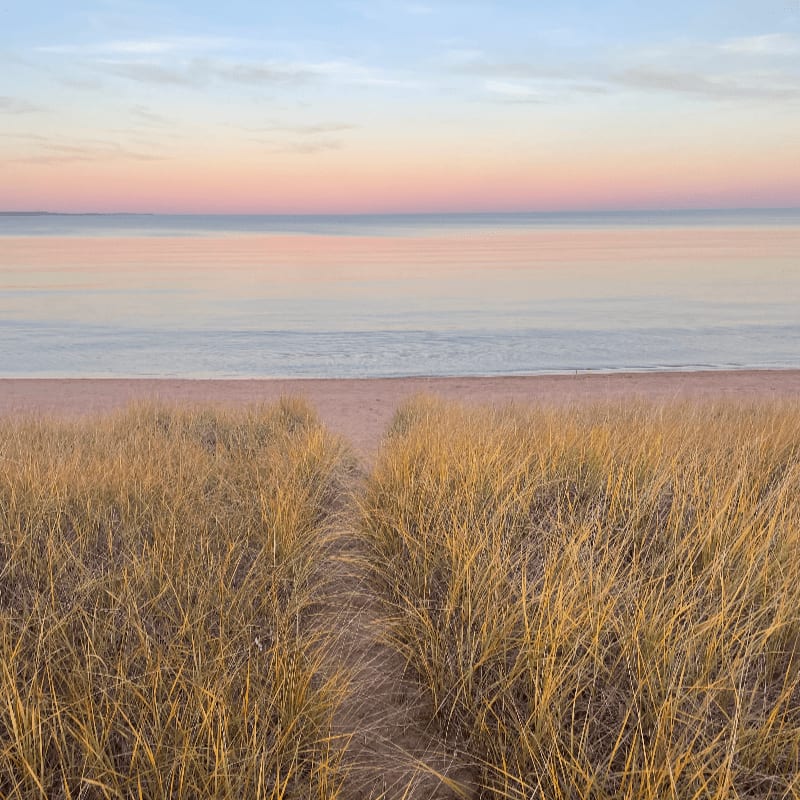 A sandy path winds through tall, golden dune grass towards a calm ocean under a soft, pastel sky.