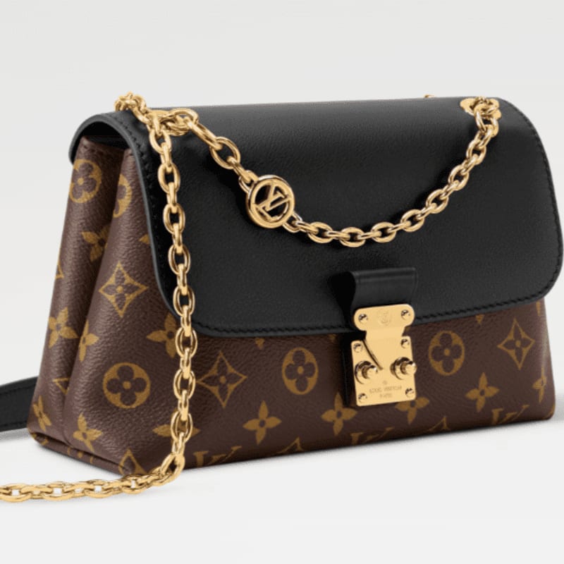A brown and black Louis Vuitton handbag with a gold chain strap rests on a plain white background.