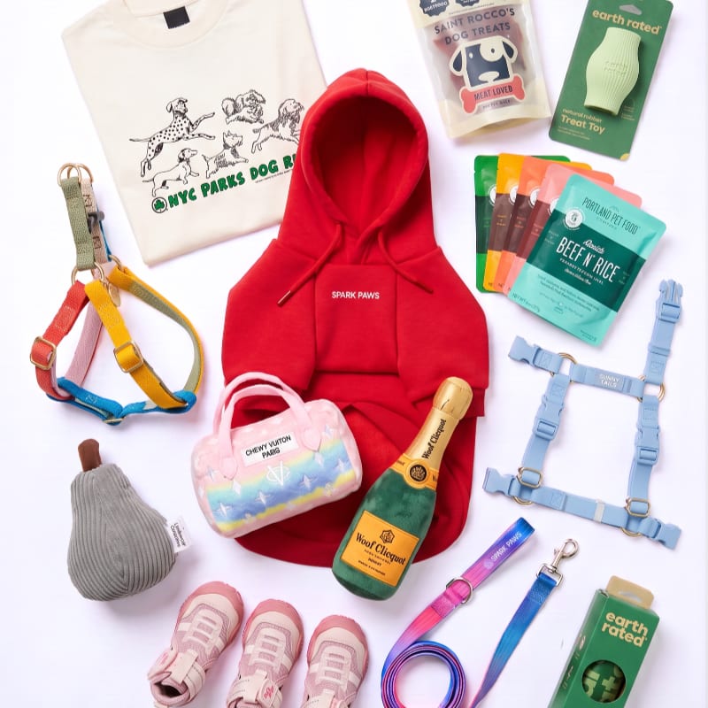A red dog hoodie, dog toys, and dog accessories are arranged around a bottle of champagne on a white background.