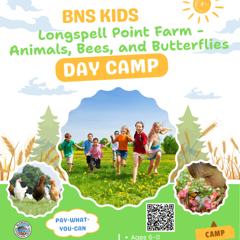 Children run through a sunny field with farm animals and butterflies visible in inset circles, all under a bright sky with a cheerful sun.