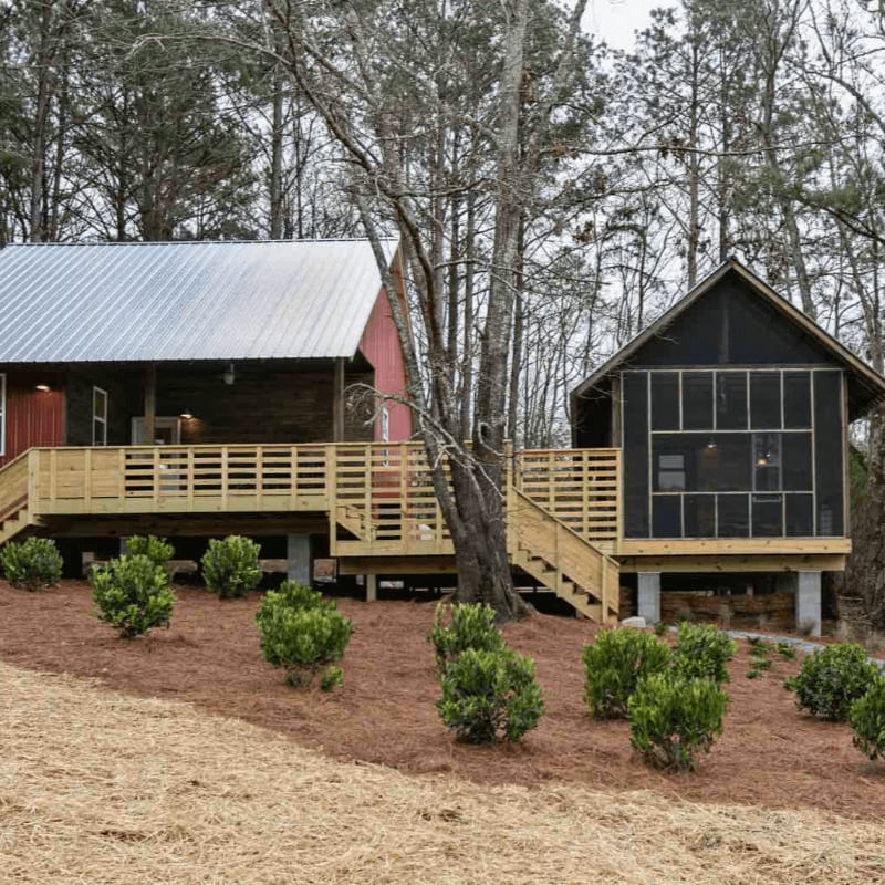 A wooden cabin with a metal roof and a screened-in porch sits on a raised deck in the foreground, surrounded by manicured bushes and mulch, with a dense forest of bare trees in the background.