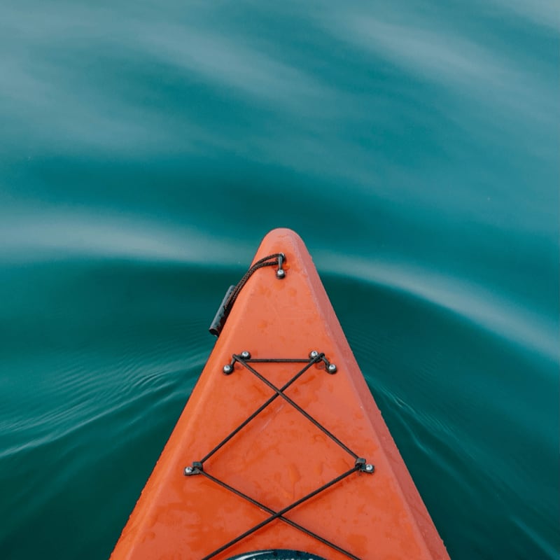 brown boat on green water