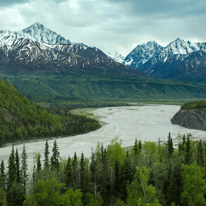 green trees near lake and snow covered mountain during daytime