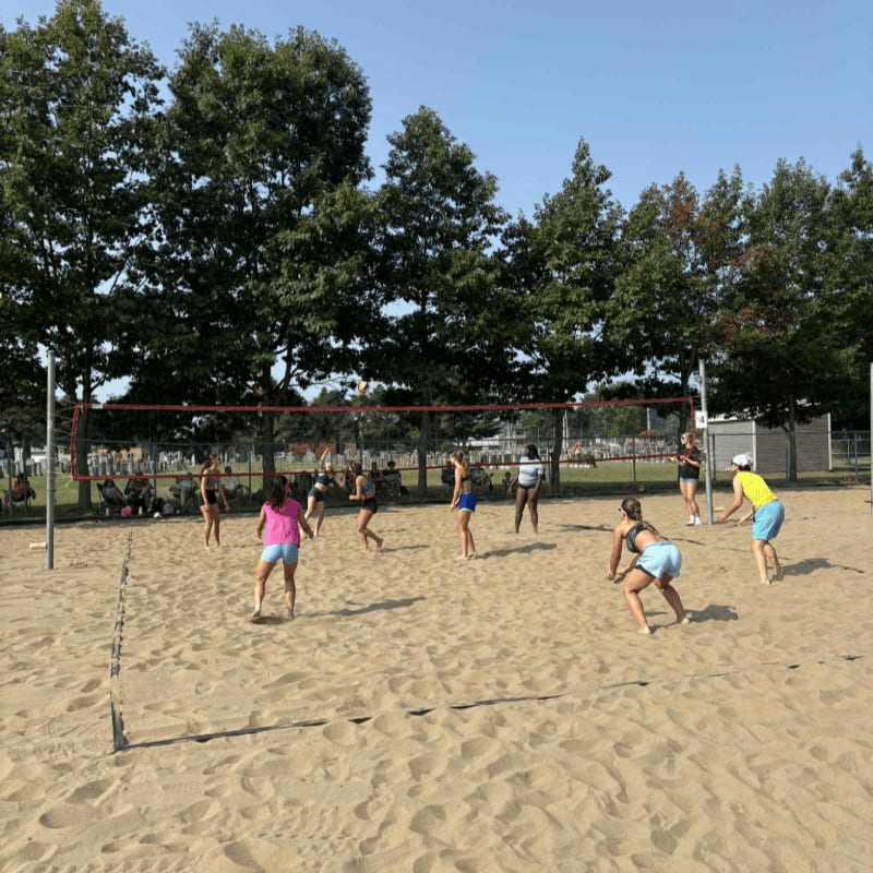 A group of young people play volleyball on a sandy court in the foreground, with a line of trees and a clear blue sky in the background.