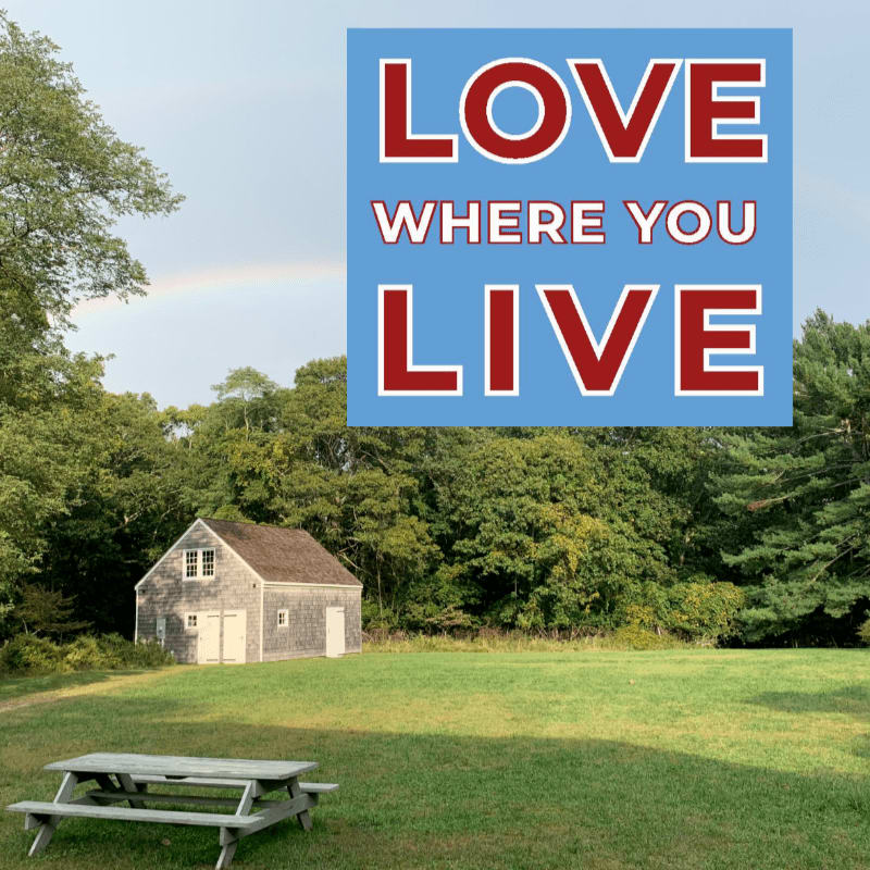 A picnic table sits in a grassy field in front of a small wooden building, with a dense forest and a blue sign with white and red text in the background.