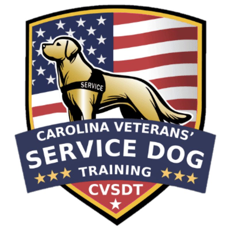 A golden service dog stands proudly in front of a stylized American flag, with the words "CAROLINA VETERANS' SERVICE DOG TRAINING" and "CVSDT" emblazoned below.