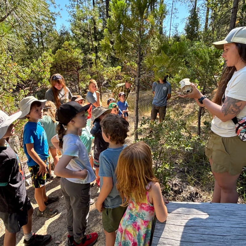 A group of children in the foreground listen attentively to a woman holding an animal skull in a sun-dappled forest background.