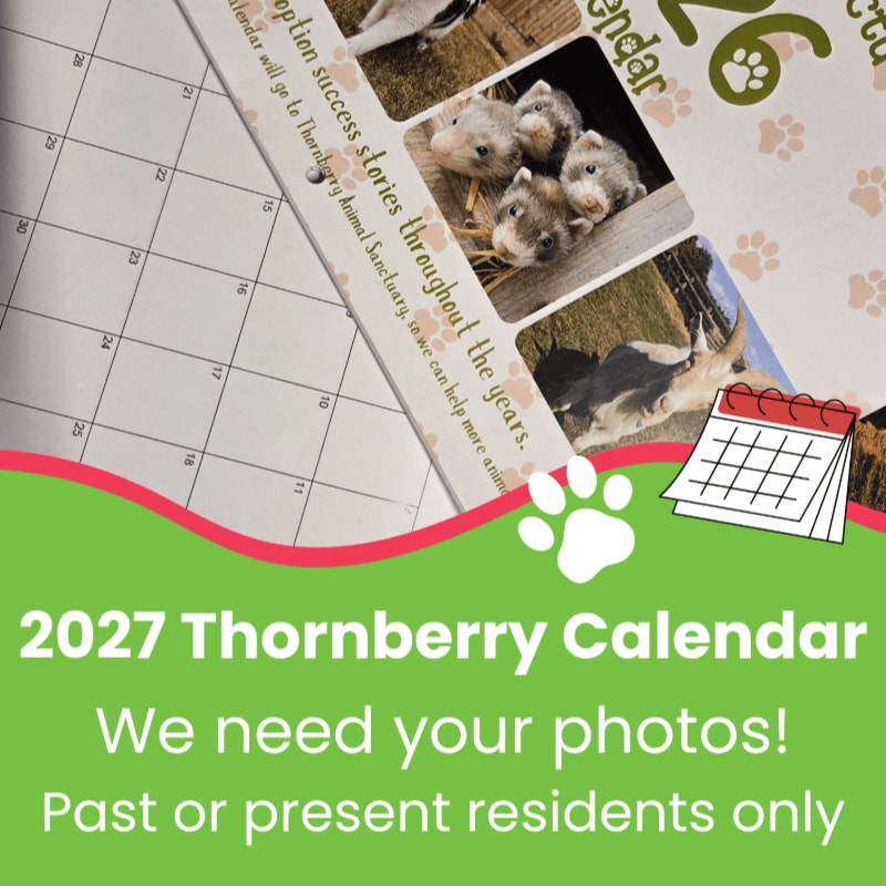 A 2027 Thornberry Calendar featuring animal photos is displayed against a grid background, with a green banner at the bottom announcing a photo submission call.
