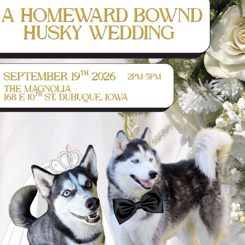 Two huskies, one wearing a crown and the other a bowtie, are featured in the foreground against a backdrop of wedding decorations and event details.