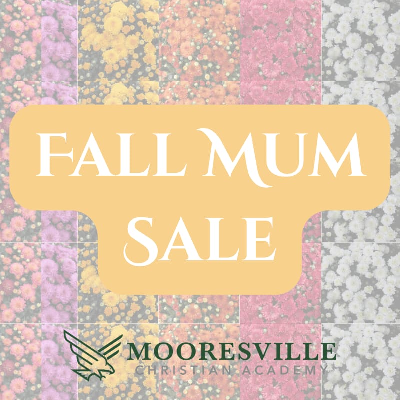 A yellow banner with "FALL MUM SALE" in white text overlays a background of colorful mum flowers, with the Mooresville Christian Academy logo in the bottom left corner.