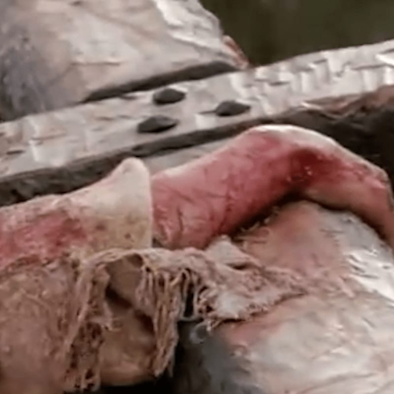 A close-up of a bloody, dismembered limb lies on rough, wooden planks, with a blurred, earthy background.