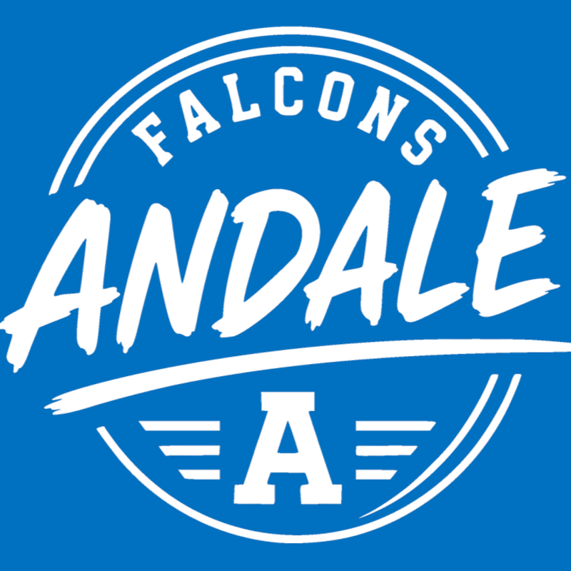 White text reading "FALCONS ANDALE" and a stylized "A" with wings are displayed on a blue background.