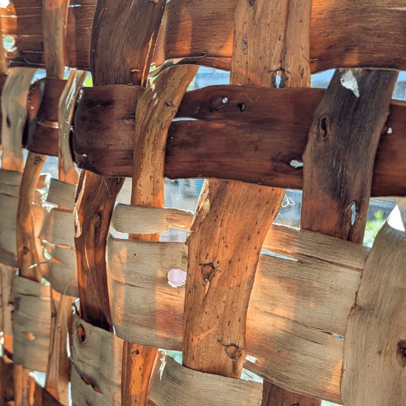 Woven strips of bark create a textured screen in the foreground, with a blurred, sunlit background suggesting an outdoor setting.